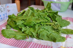 strangolapreti-ingredienti-1